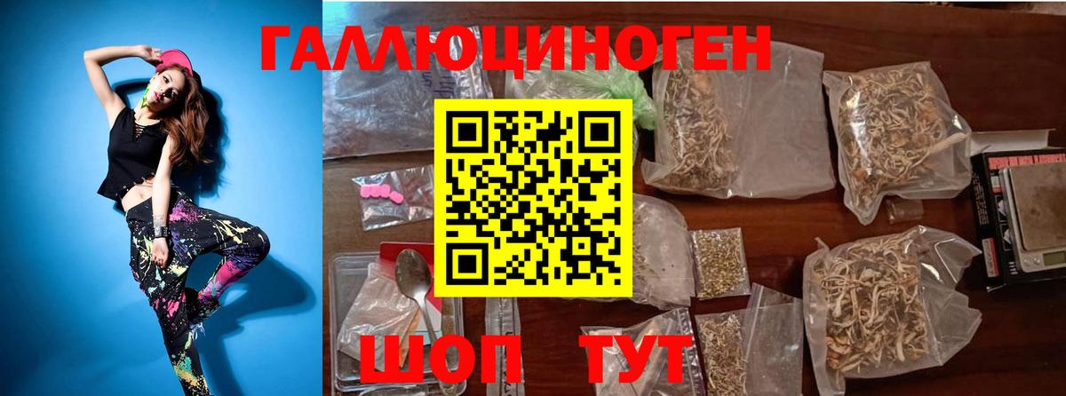 Псилоцибиновые грибы мицелий Губаха