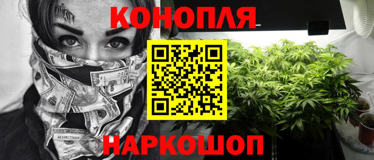 Губаха  Марихуана план  Бошки марихуана OG Kush  Вход с VPN  Марихуана SATIVA & INDICA 